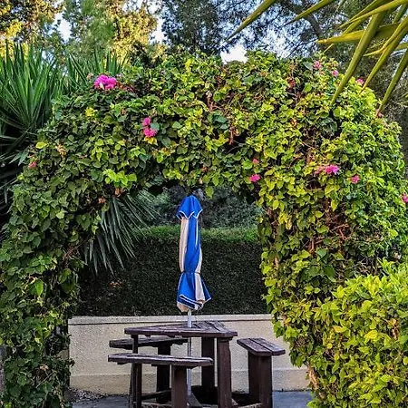 Stylish Garden At Harbour *